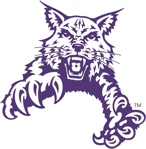 Abilene Christian Wildcats 1997-2012 Partial Logo v2 diy DTF decal sticker